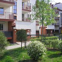 06 t